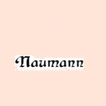 Naumann varrógép tű