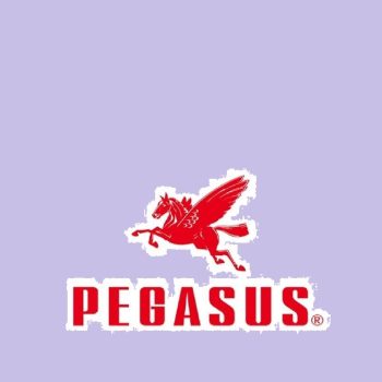 Pegasus varrógép tű